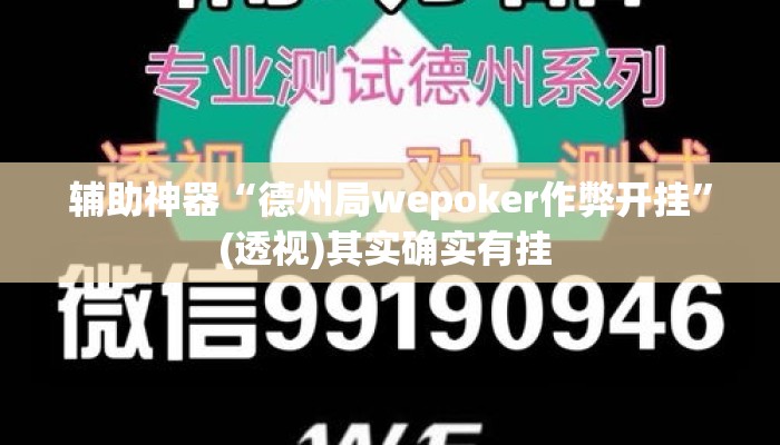 辅助神器“德州局wepoker作弊开挂”(透视)其实确实有挂 