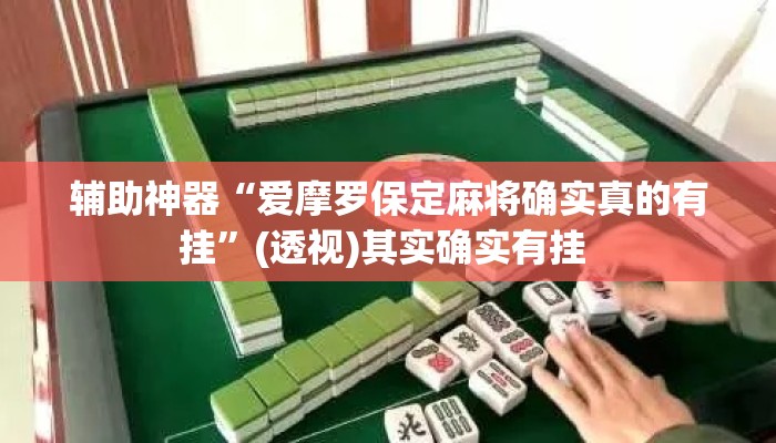 辅助神器“爱摩罗保定麻将确实真的有挂	”(透视)其实确实有挂 