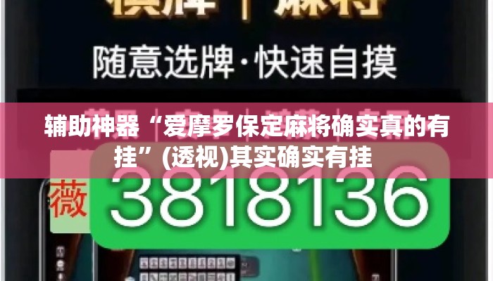 辅助神器“爱摩罗保定麻将确实真的有挂”(透视)其实确实有挂 