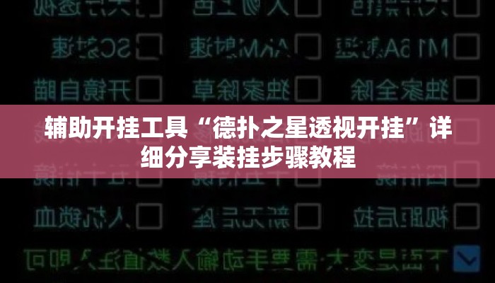辅助开挂工具“德扑之星透视开挂	”详细分享装挂步骤教程