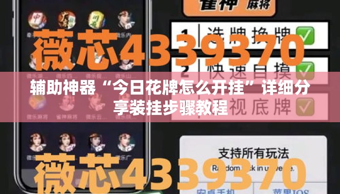 辅助神器“今日花牌怎么开挂”详细分享装挂步骤教程