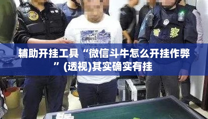 辅助开挂工具“微信斗牛怎么开挂作弊”(透视)其实确实有挂 