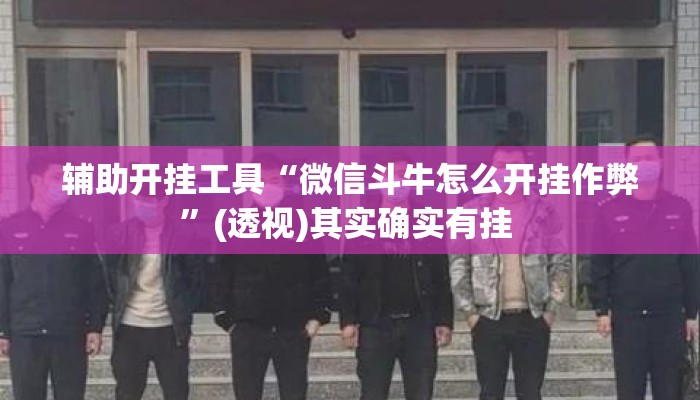辅助开挂工具“微信斗牛怎么开挂作弊	”(透视)其实确实有挂 
