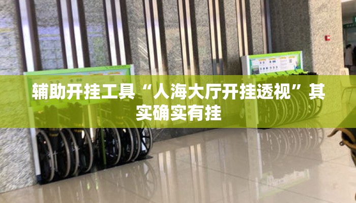 辅助开挂工具“人海大厅开挂透视”其实确实有挂