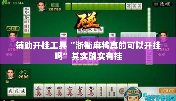 辅助开挂工具“浙衢麻将真的可以开挂吗”其实确实有挂