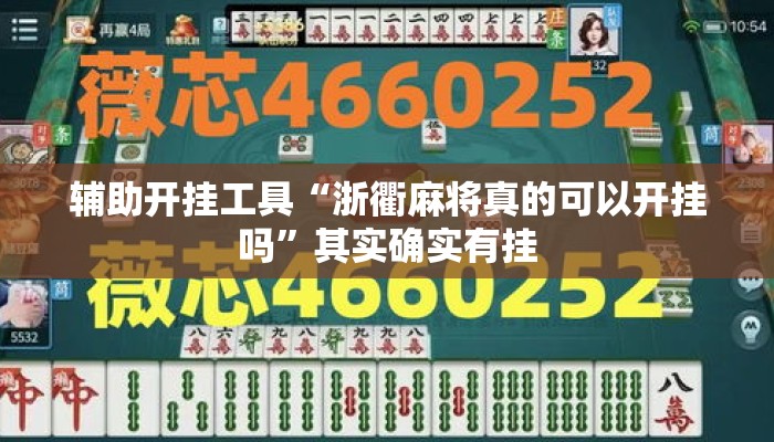 辅助开挂工具“浙衢麻将真的可以开挂吗	”其实确实有挂