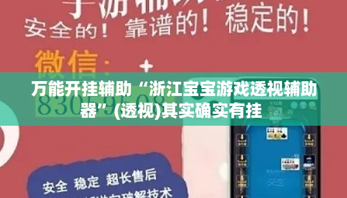 万能开挂辅助“浙江宝宝游戏透视辅助器”(透视)其实确实有挂 