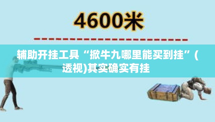 辅助开挂工具“掀牛九哪里能买到挂”(透视)其实确实有挂 