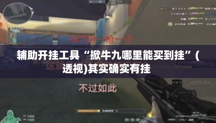 辅助开挂工具“掀牛九哪里能买到挂	”(透视)其实确实有挂 