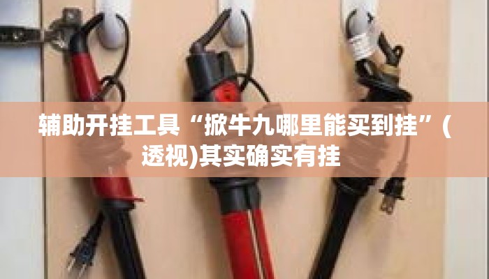 辅助开挂工具“掀牛九哪里能买到挂”(透视)其实确实有挂 