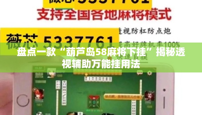 盘点一款“葫芦岛58麻将下挂	”揭秘透视辅助万能挂用法