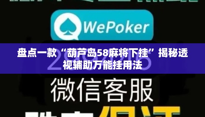 盘点一款“葫芦岛58麻将下挂”揭秘透视辅助万能挂用法