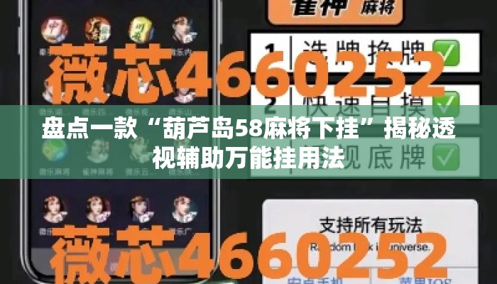 盘点一款“葫芦岛58麻将下挂”揭秘透视辅助万能挂用法