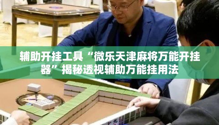辅助开挂工具“微乐天津麻将万能开挂器”揭秘透视辅助万能挂用法