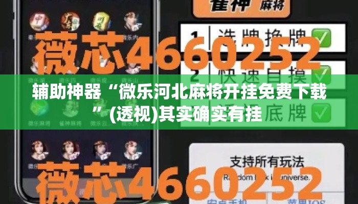 辅助神器“微乐河北麻将开挂免费下载”(透视)其实确实有挂 