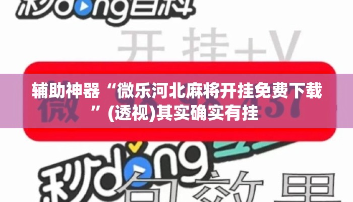 辅助神器“微乐河北麻将开挂免费下载	”(透视)其实确实有挂 