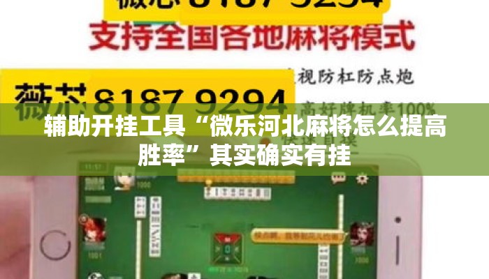辅助开挂工具“旺旺南平麻将竟有透视挂吗”揭秘透视辅助万能挂用法