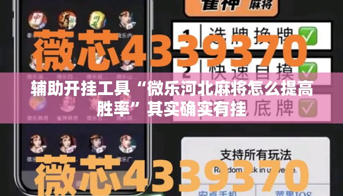 辅助开挂工具“微乐河北麻将怎么提高胜率”其实确实有挂