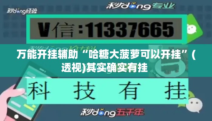 万能开挂辅助“哈糖大菠萝可以开挂	”(透视)其实确实有挂 