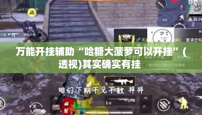 万能开挂辅助“哈糖大菠萝可以开挂	”(透视)其实确实有挂 