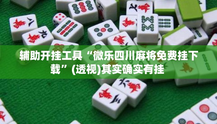辅助开挂工具“微乐四川麻将免费挂下载	”(透视)其实确实有挂 