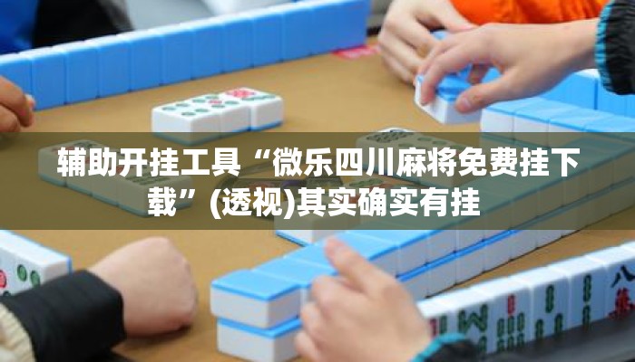 辅助开挂工具“微乐四川麻将免费挂下载”(透视)其实确实有挂 