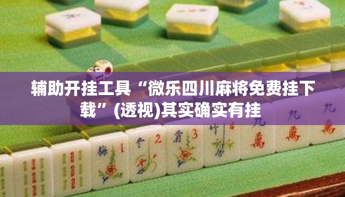 辅助开挂工具“微乐四川麻将免费挂下载	”(透视)其实确实有挂 