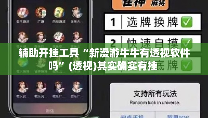 辅助开挂工具“新漫游牛牛有透视软件吗	”(透视)其实确实有挂 