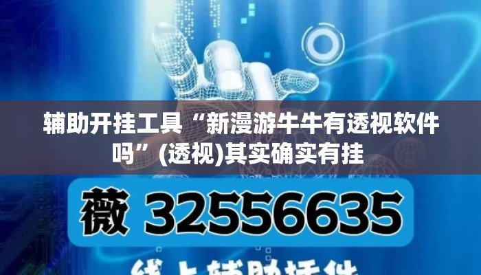 辅助开挂工具“新漫游牛牛有透视软件吗	”(透视)其实确实有挂 
