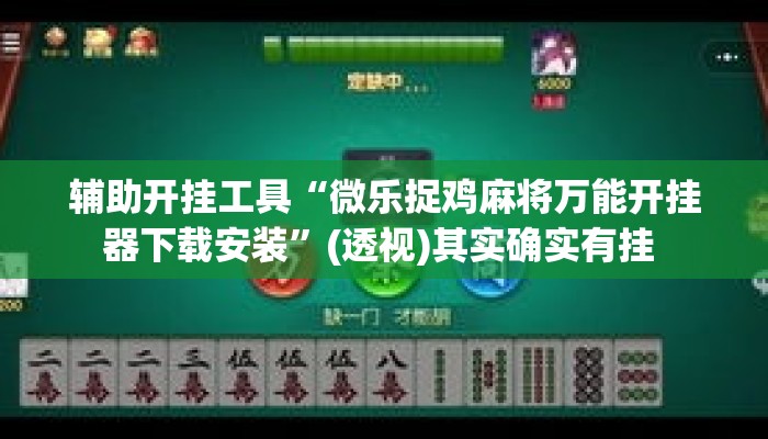 辅助开挂工具“微乐捉鸡麻将万能开挂器下载安装”(透视)其实确实有挂 