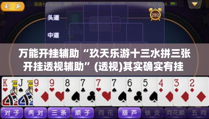 万能开挂辅助“玖天乐游十三水拼三张开挂透视辅助”(透视)其实确实有挂 