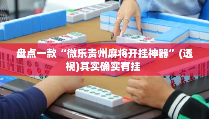 盘点一款“微乐贵州麻将开挂神器”(透视)其实确实有挂 