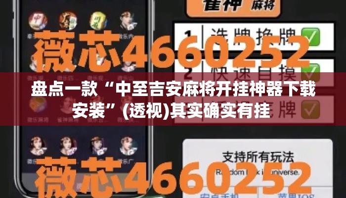 盘点一款“中至吉安麻将开挂神器下载安装”(透视)其实确实有挂 