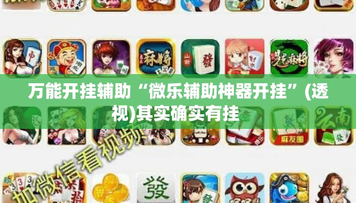 万能开挂辅助“微乐辅助神器开挂”(透视)其实确实有挂 