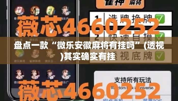 辅助神器“掌心麻将圈开挂神器”详细分享装挂步骤教程