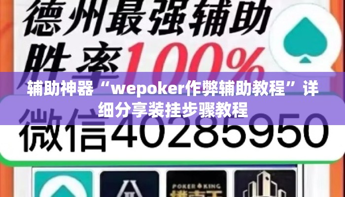 辅助神器“wepoker作弊辅助教程”详细分享装挂步骤教程