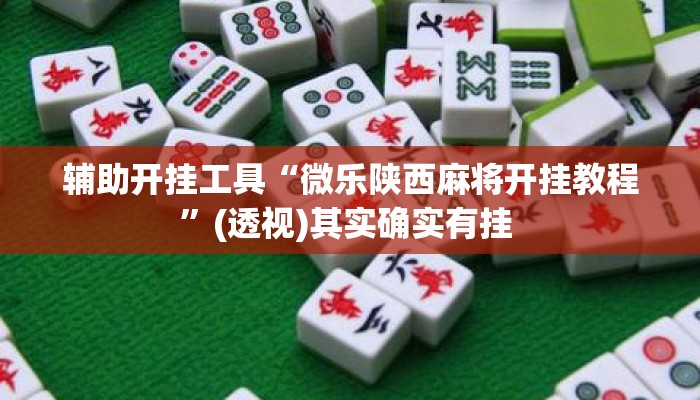 辅助开挂工具“微乐陕西麻将开挂教程”(透视)其实确实有挂 