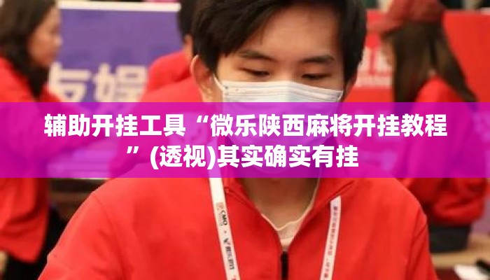 辅助开挂工具“微乐陕西麻将开挂教程”(透视)其实确实有挂 