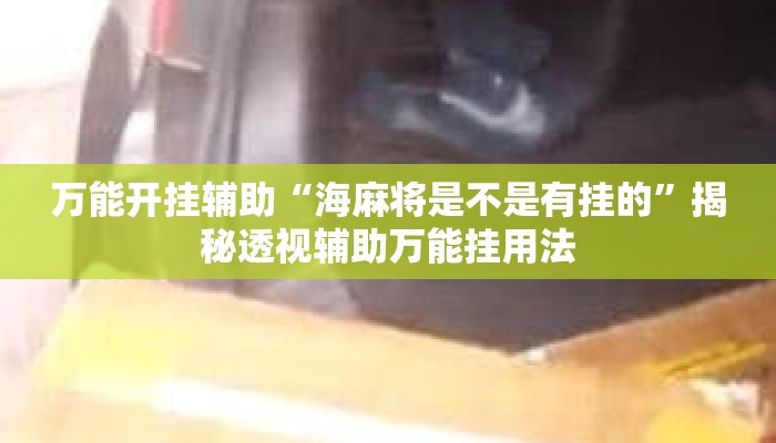 万能开挂辅助“海麻将是不是有挂的	”揭秘透视辅助万能挂用法