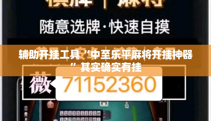 辅助开挂工具“中至乐平麻将开挂神器”其实确实有挂
