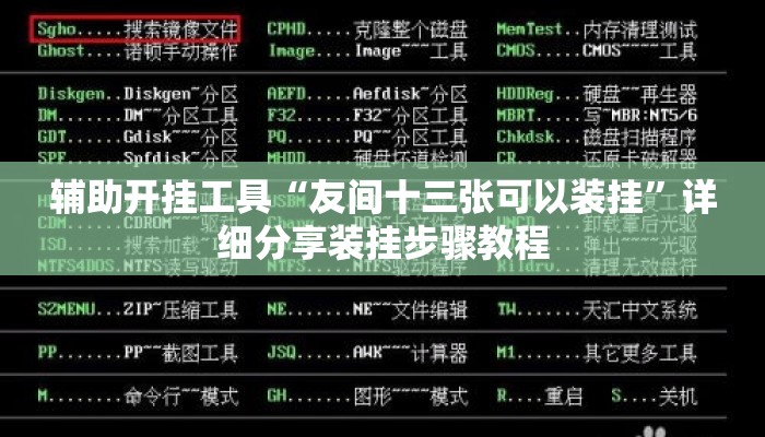 辅助开挂工具“友间十三张可以装挂	”详细分享装挂步骤教程