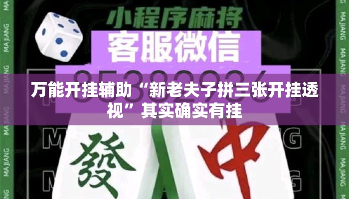 万能开挂辅助“新老夫子拼三张开挂透视”其实确实有挂