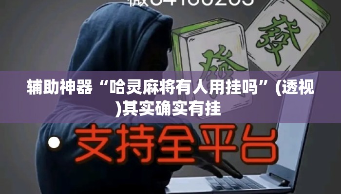 辅助神器“哈灵麻将有人用挂吗”(透视)其实确实有挂 