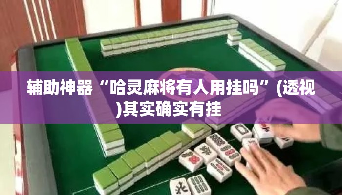 辅助神器“哈灵麻将有人用挂吗	”(透视)其实确实有挂 