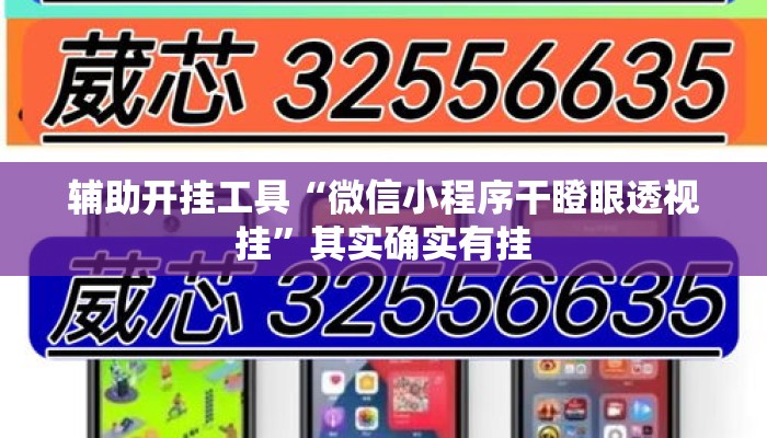 辅助开挂工具“微信小程序干瞪眼透视挂”其实确实有挂