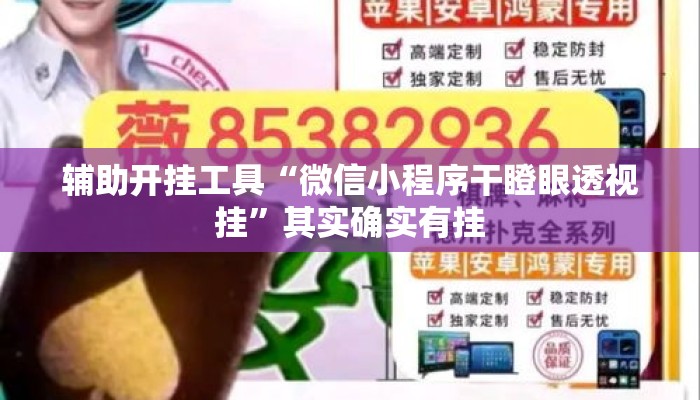 辅助开挂工具“微信小程序干瞪眼透视挂”其实确实有挂