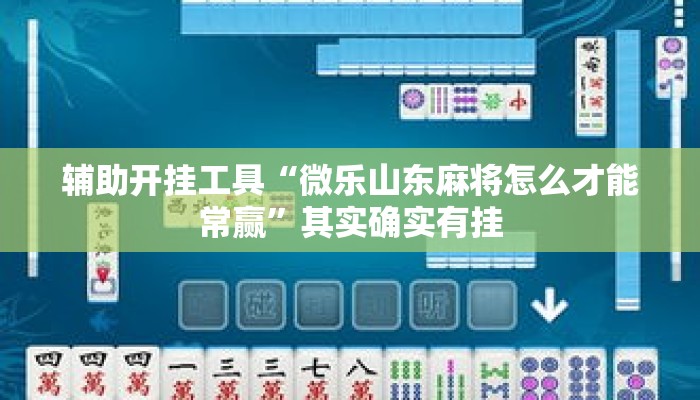 辅助开挂工具“微乐山东麻将怎么才能常赢”其实确实有挂