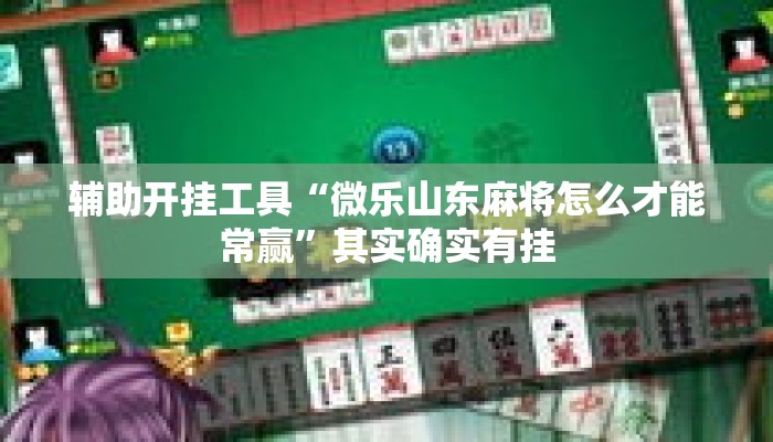 辅助开挂工具“微乐山东麻将怎么才能常赢”其实确实有挂