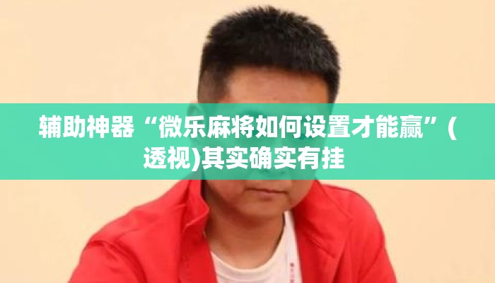 辅助神器“微乐麻将如何设置才能赢”(透视)其实确实有挂 