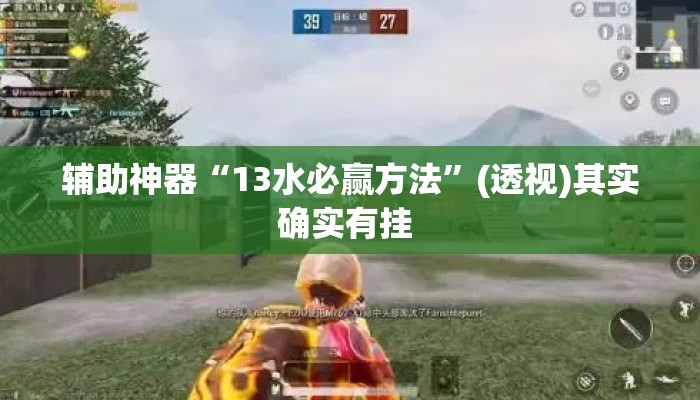 辅助神器“13水必赢方法”(透视)其实确实有挂 